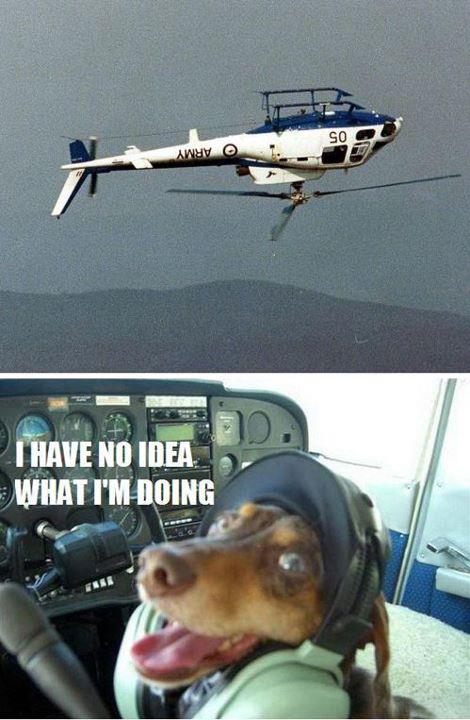 DogHelicopter