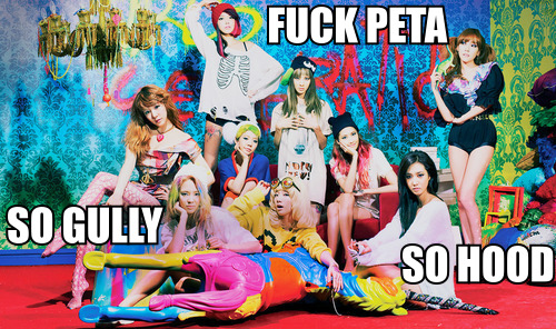 SNSDFuckPETA
